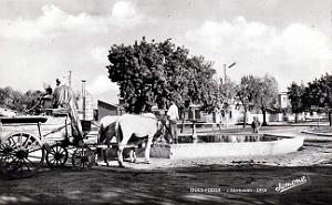Oued-Fodda - Abreuvoir - 1956